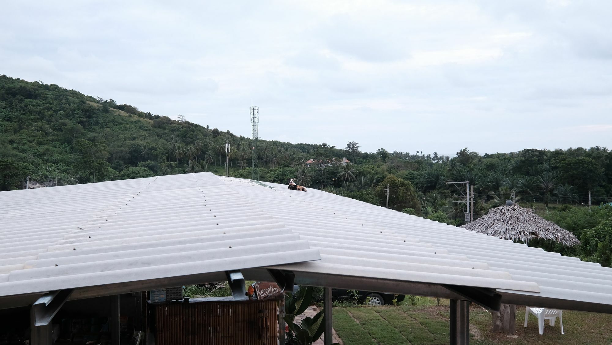 Cat Bungalow Ko Lanta Εξωτερικό φωτογραφία